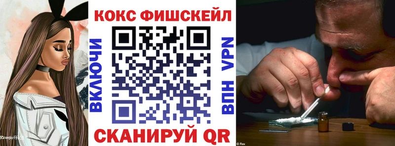 Cocaine FishScale  наркотики  Барнаул 