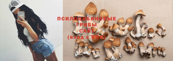 spice Бугульма