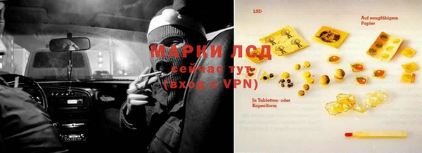 прущий лед Богданович