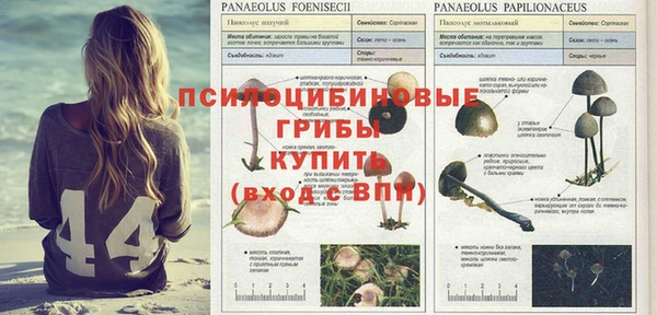 первитин Бронницы