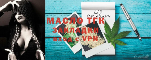 стаф Богородск