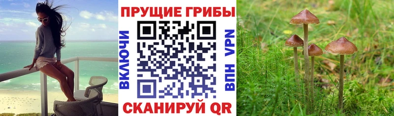 Галлюциногенные грибы ЛСД  сайты даркнета телеграм  Барнаул 